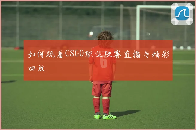 如何观看CSGO职业联赛直播与精彩回放
